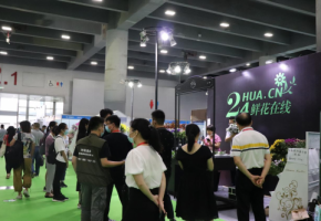 扬帆起航 共商美丽新经济2021亚洲花卉产业博览会正式启动