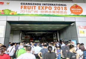 全球果蔬展之专业世界水果贸易平台--2019广州·世界水果博览会