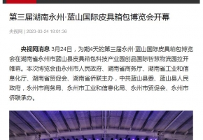 【央视网】第三届湖南永州·蓝山国际皮具箱包博览会开幕