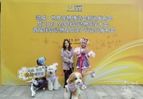 “萌宠”来了！世界宠物博览会9月在广州启幕