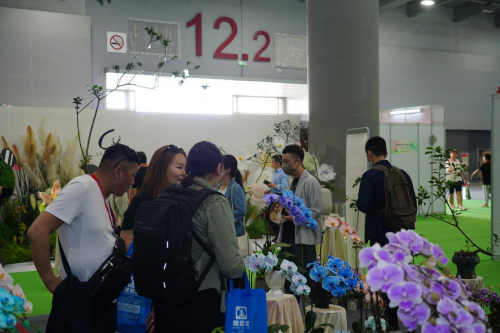 2024花城“新秀花事”亮点抢先看！和广州国际花艺节一起解锁“花经济”财富密码(图4)
