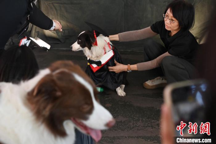 第六届广东省宠物文化节在广州举行