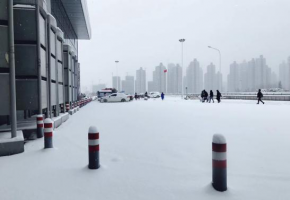 雪后温情丨汉阳区会展办领导带头铲雪，为艾妮漫迷出行保驾护航