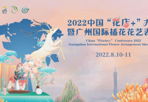又见花开！夏末秋初，看“花店+”再掀新花潮
