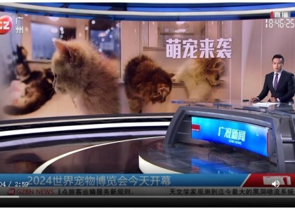 广州台报道2024世界宠物博览会今天（20日）开幕