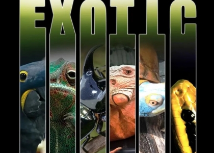 2025广州世界爬行动物及用品展(简称:WRE世爬展)将于9月19日-21日在广州琶洲保利世贸博览馆盛大启幕！