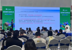 2025亚洲油墨产业发展大会落幕：政策引路、技术破局，绿色创新成行业共识