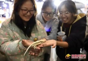 精致养宠热潮席卷南昌！2025鸿威宠博会启幕，11万观众打卡全链盛宴