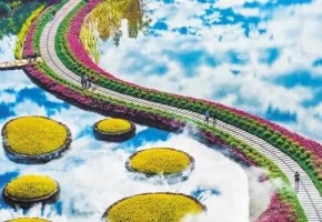 千亿花业迎盛会 2026亚洲花卉产业博览会5月广州启幕