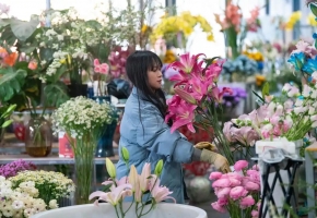 千亿云花领跑产业 AFE2026亚洲花卉博览会5月广州启幕