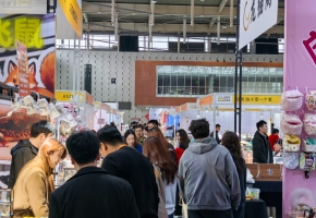 周末好去处！鸿威・世宠会南京站盛大开幕 萌宠赛事+互动体验燃爆金陵