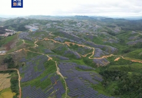 东南亚单体最大光伏项目投运 广州光储博览会9月开幕赋能产业出海