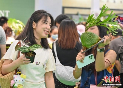 广州：民众“打卡”亚洲花卉产业博览会乐享周末