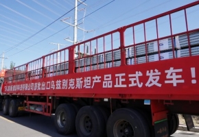 光伏支架扬帆中亚，广州光储博览会搭建全球产业升级平台