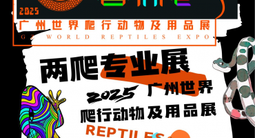 世爬展闪耀羊城