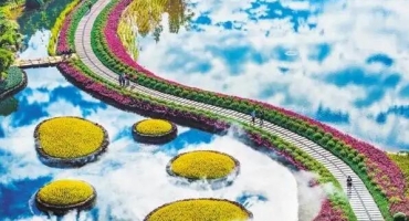 千亿花业迎盛会 2026亚洲花卉产业博览会5月广州启幕