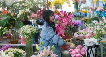 千亿云花领跑产业 AFE2026亚洲花卉博览会5月广州启幕