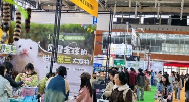周末去哪儿？世宠会南京站今日开幕，萌宠赛事与互动体验等你来
