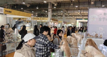 萌动江城 宠连世界｜2026鸿威・世界宠物博览会（芜湖展）盛大启幕