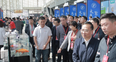 2026鸿威·世界宠物博览会芜湖展盛大开幕 周末两天精彩继续！