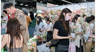 热植花卉出圈！成都热植巡展绽放别样热带风情